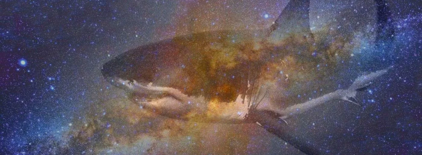 Māngōroa -Milky Way