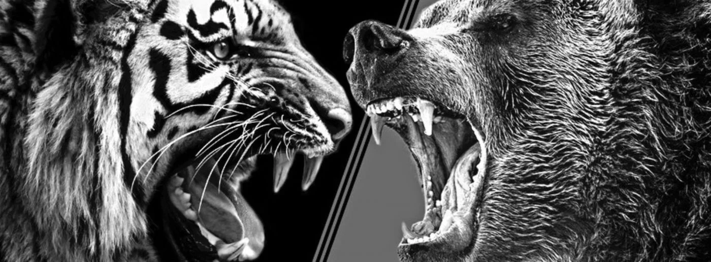 bear-and-tiger-korean-mythology