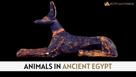 animals-in-ancient-egypt