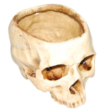 Load image into Gallery viewer, Resin Human Skull Plant Pot Flower Pot Decor
