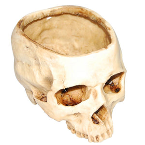 Resin Human Skull Plant Pot Flower Pot Decor