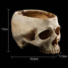Load image into Gallery viewer, Resin Human Skull Plant Pot Flower Pot Decor
