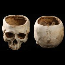 Load image into Gallery viewer, Resin Human Skull Plant Pot Flower Pot Decor
