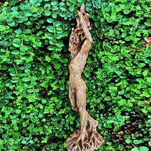 Load image into Gallery viewer, Forest Tree Gods Statue

