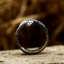 Load image into Gallery viewer, Viking Snake Ring with Coiled Serpent and Defined Scales and Eyes
