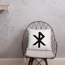 Load image into Gallery viewer, Test Pillow
