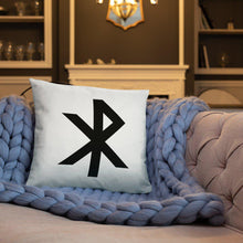 Load image into Gallery viewer, Test Pillow
