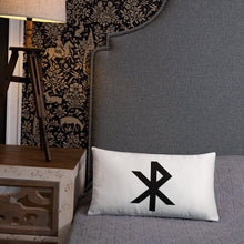Load image into Gallery viewer, Test Pillow
