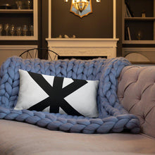 Load image into Gallery viewer, Test Pillow
