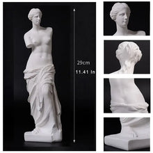 Load image into Gallery viewer, Broken Arm Venus Statue
