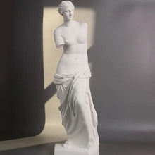 Load image into Gallery viewer, Broken Arm Venus Statue
