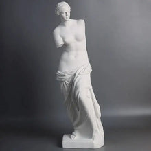 Load image into Gallery viewer, Broken Arm Venus Statue
