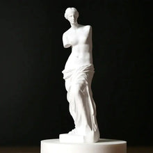 Load image into Gallery viewer, Broken Arm Venus Statue

