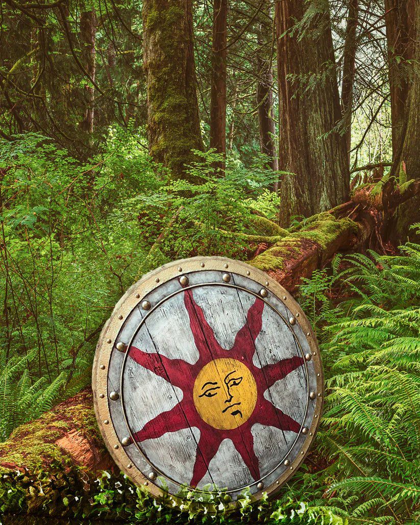 Viking Shield with Sun Symbol